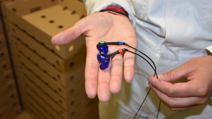 Pour réduire le bruit au laboratoire de transformation, le choix s’est porté sur des bouchons d’oreille personnalisés qui permettent de continuer à s’entendre entre collègues. Coût de la paire de bouchons : 150 euros. © R. Aries/GFA